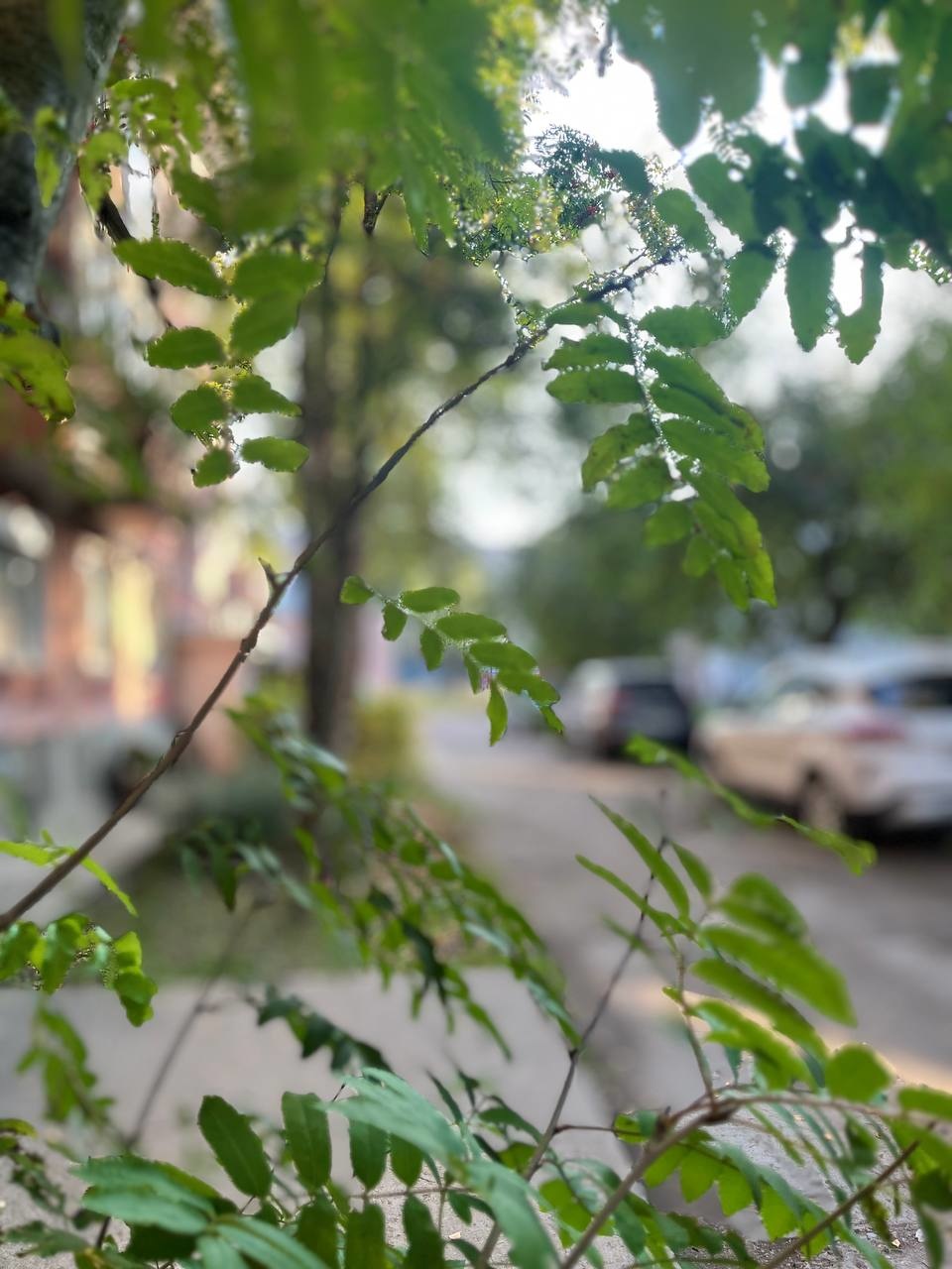 На прямой продаже аккуратная, компактная двухкомнатная квартира с изолированными комнатами в центре города .
Прекрасная транспортная развязка обеспечит доступ в любой район города за максимально короткое время!
Небольшая площадь квартиры удачно экономит ваш бюджет на оплате коммунальных услуг. 
Окна